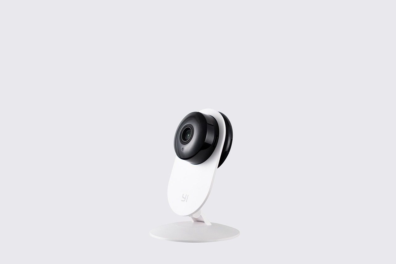 SaveClip.App_473832936_1166497261862390_2216273408002099695_n